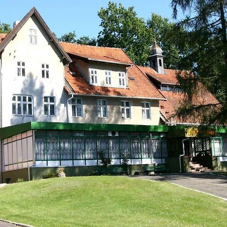 Zacisze Lesne Albergue Lidzbark Warmiński Exterior foto